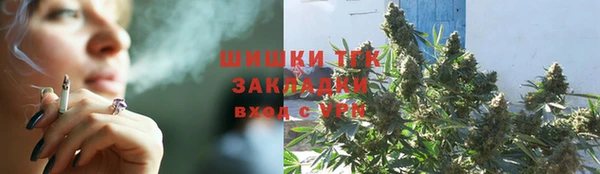 соль ск Кукмор