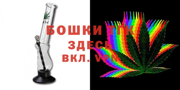 соль ск Кукмор