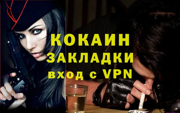соль ск Кукмор