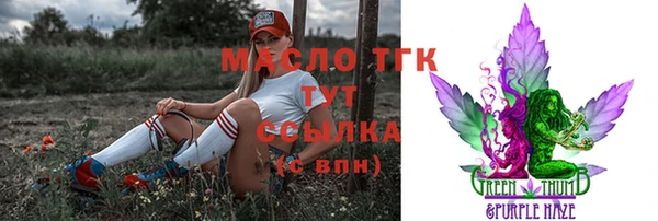соль ск Кукмор