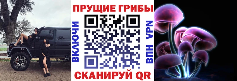Псилоцибиновые грибы мухоморы  Купить где  Артёмовск 